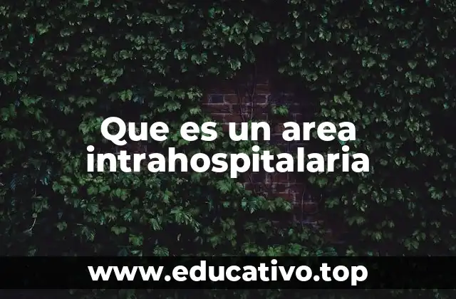 Que es un area intrahospitalaria
