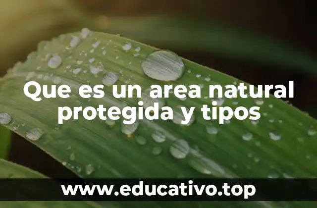 Que es un area natural protegida y tipos
