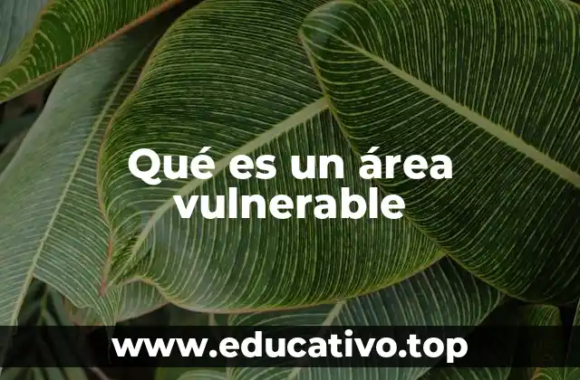 Qué es un área vulnerable