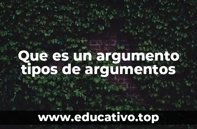 Que es un argumento tipos de argumentos