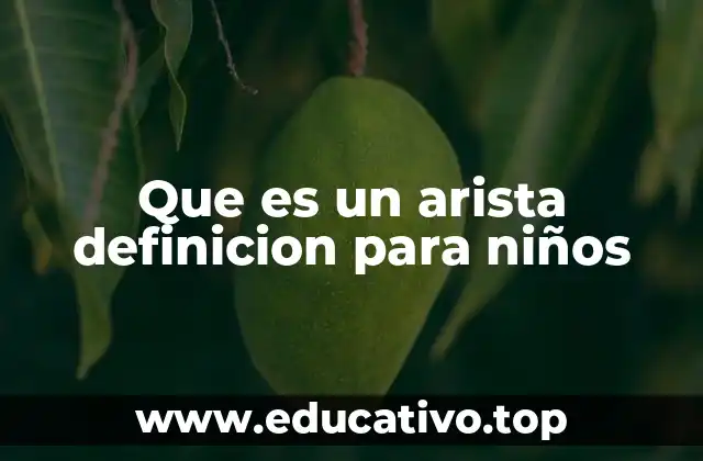 Que es un arista definicion para niños