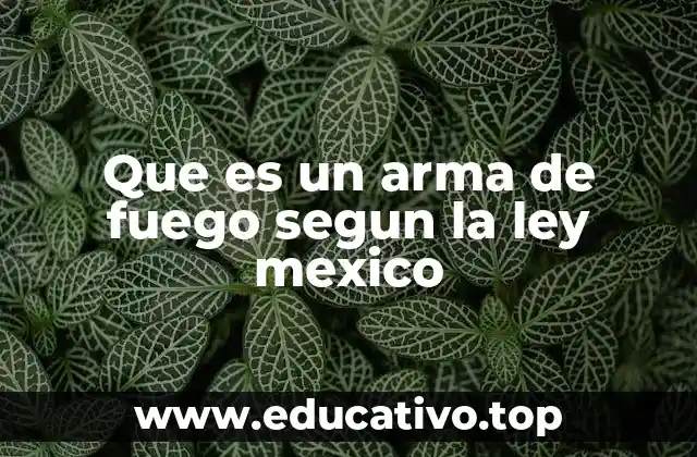 Que es un arma de fuego segun la ley mexico