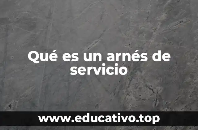 Qué es un arnés de servicio
