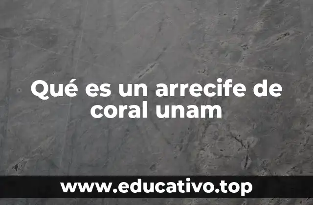 El papel de los arrecifes de coral en el ecosistema marino