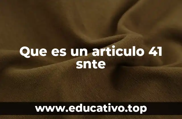 Que es un articulo 41 snte