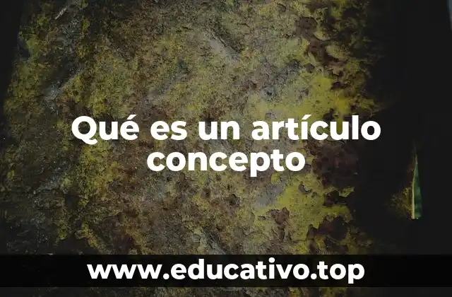 Qué es un artículo concepto