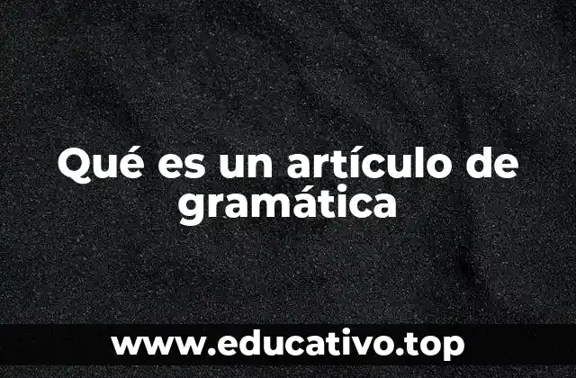 Qué es un artículo de gramática