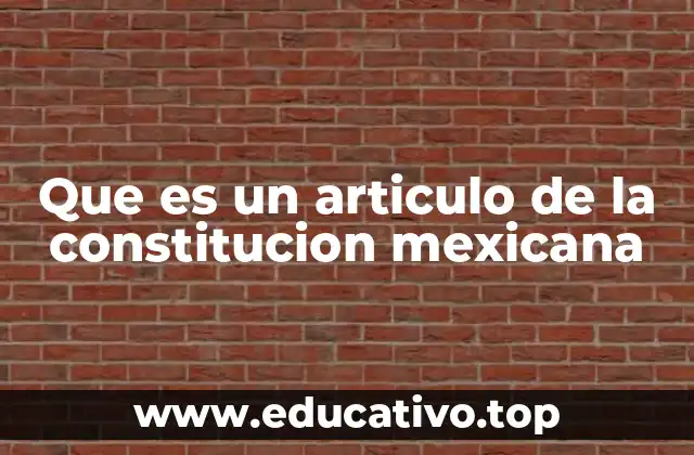 El papel de los artículos en la estructura jurídica mexicana