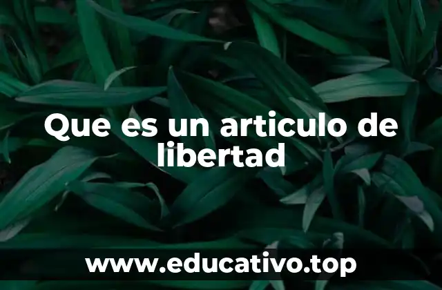 La importancia de los derechos fundamentales en el marco legal
