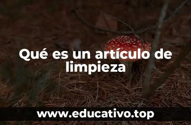 Qué es un artículo de limpieza