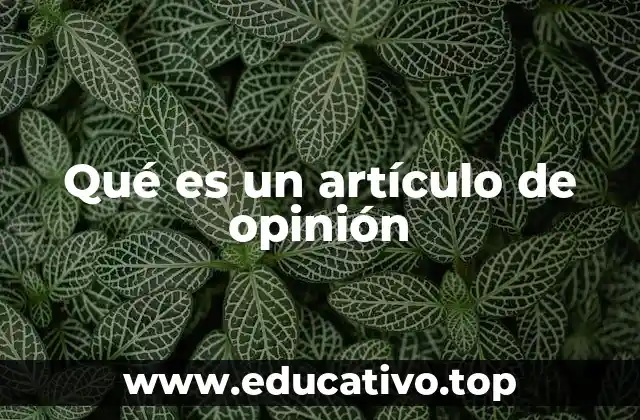 Qué es un artículo de opinión
