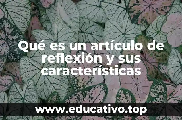 Qué es un artículo de reflexión y sus características