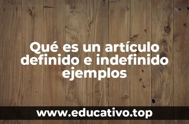 Qué es un artículo definido e indefinido ejemplos