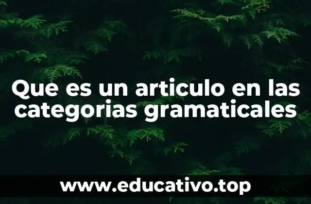 Que es un articulo en las categorias gramaticales