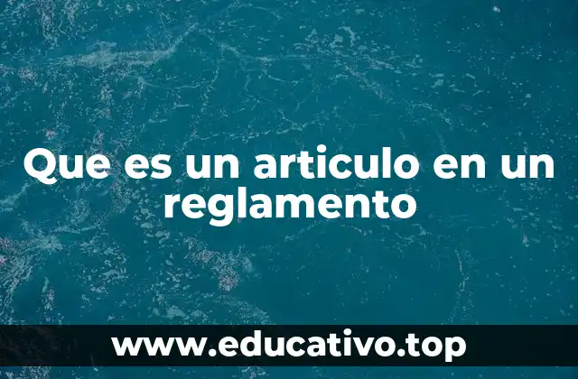 Que es un articulo en un reglamento