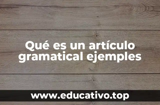 Qué es un artículo gramatical ejemples
