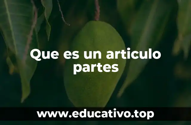 La importancia de estructurar un artículo con claridad