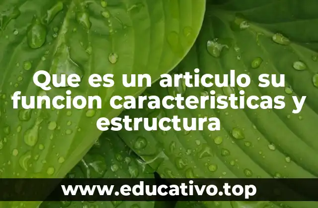 Que es un articulo su funcion caracteristicas y estructura