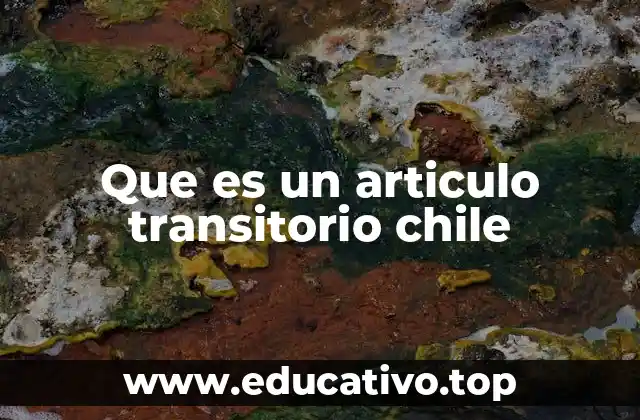 Que es un articulo transitorio chile