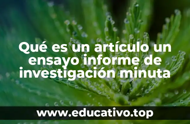 Qué es un artículo un ensayo informe de investigación minuta
