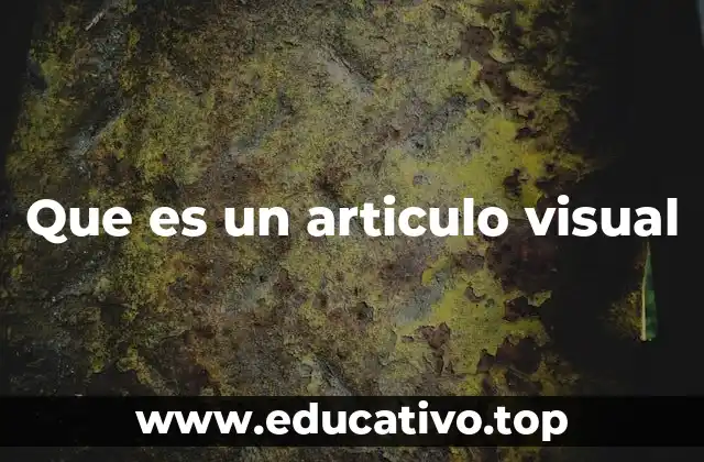 Que es un articulo visual