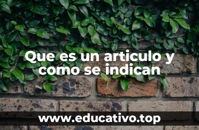 Que es un articulo y como se indican