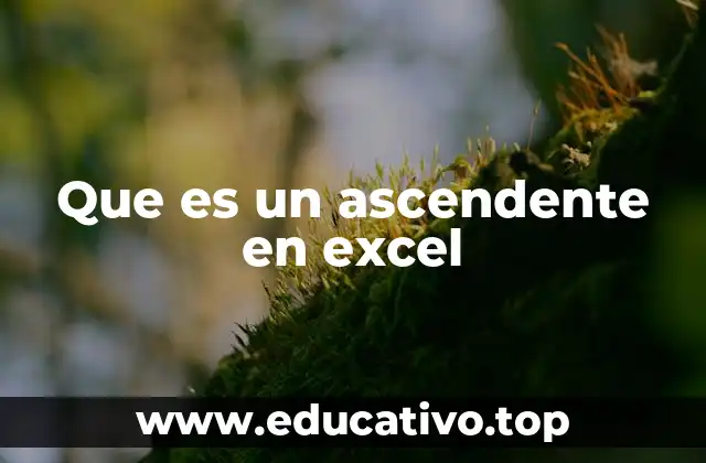 Que es un ascendente en excel