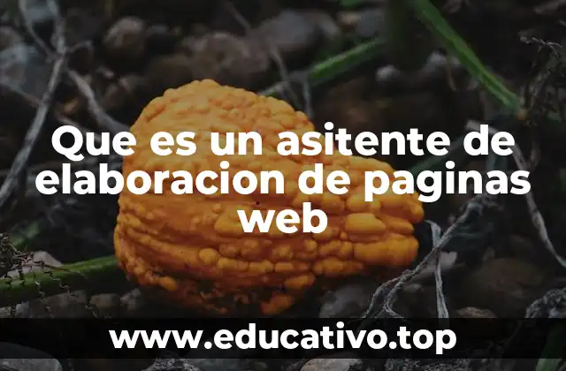Que es un asitente de elaboracion de paginas web