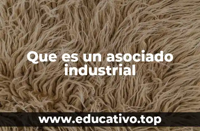 Que es un asociado industrial