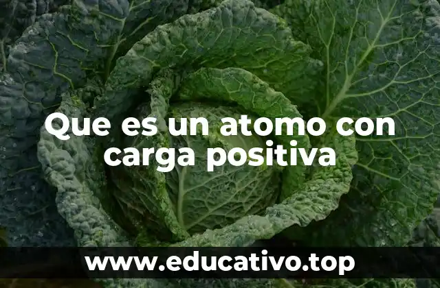 Que es un atomo con carga positiva