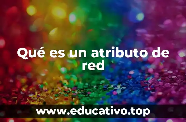 Qué es un atributo de red