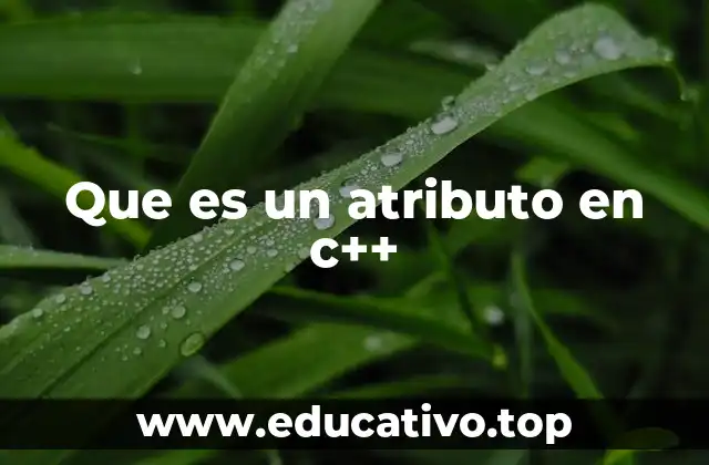 Que es un atributo en c++