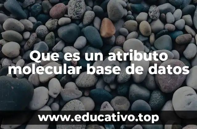 Que es un atributo molecular base de datos