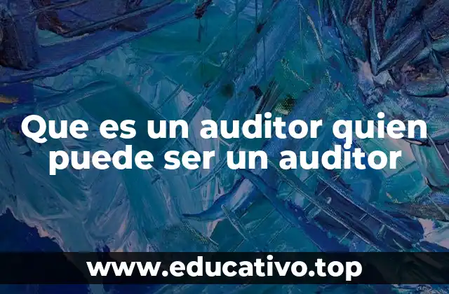 Que es un auditor quien puede ser un auditor