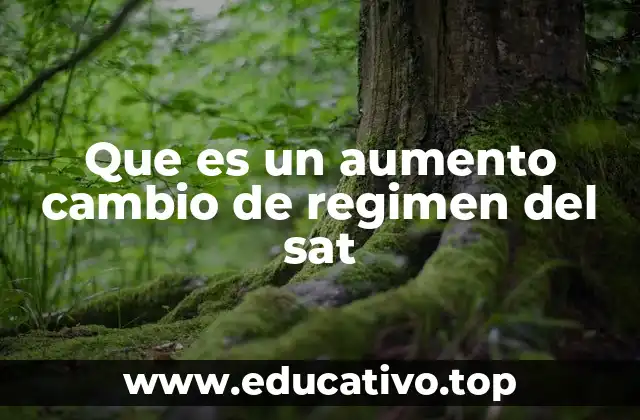 Que es un aumento cambio de regimen del sat