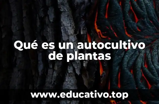 Qué es un autocultivo de plantas