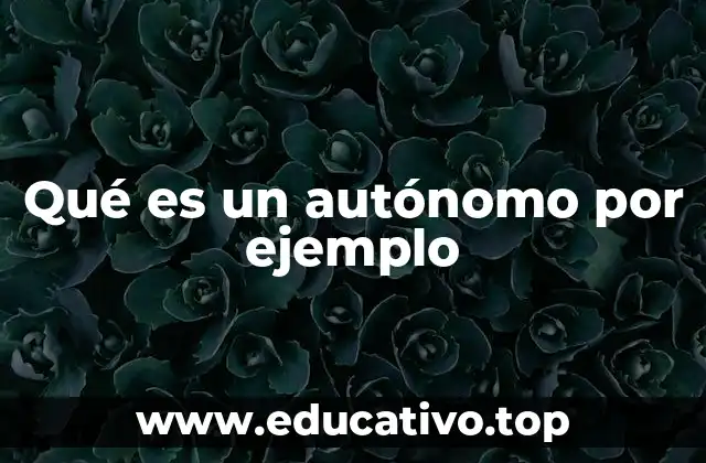 Qué es un autónomo por ejemplo