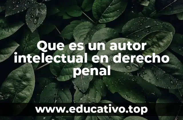 Que es un autor intelectual en derecho penal