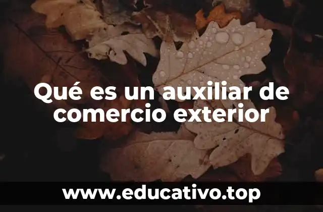 Qué es un auxiliar de comercio exterior