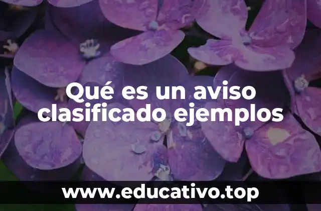 Qué es un aviso clasificado ejemplos