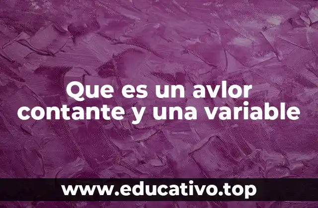 Que es un avlor contante y una variable