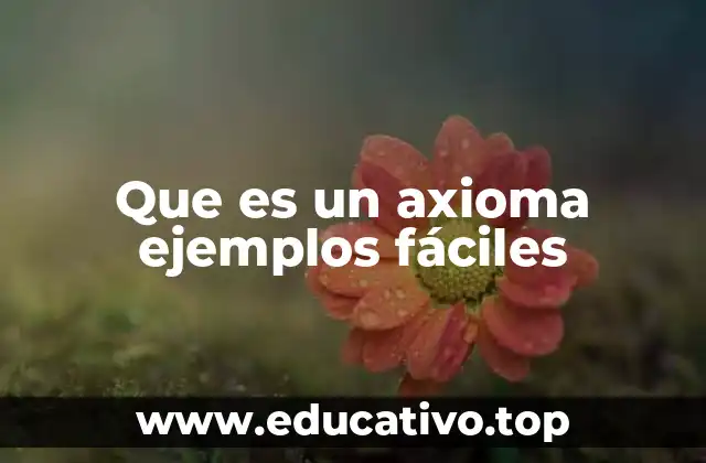 Que es un axioma ejemplos fáciles