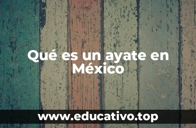 Qué es un ayate en México