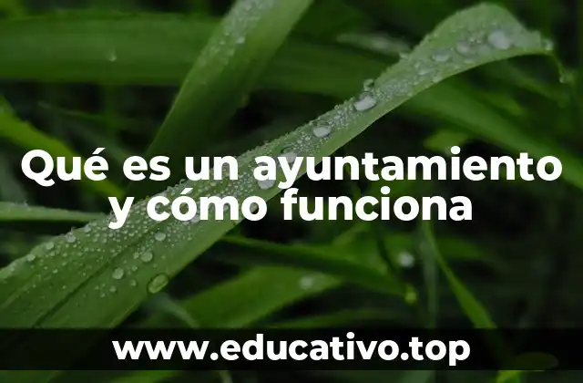 Qué es un ayuntamiento y cómo funciona