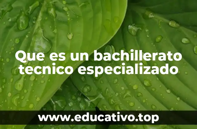 Que es un bachillerato tecnico especializado