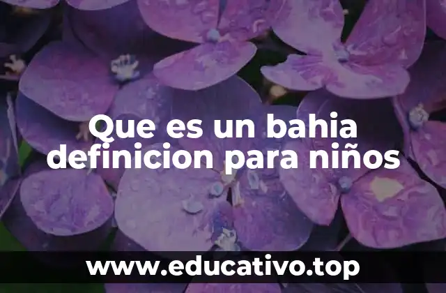 Que es un bahia definicion para niños