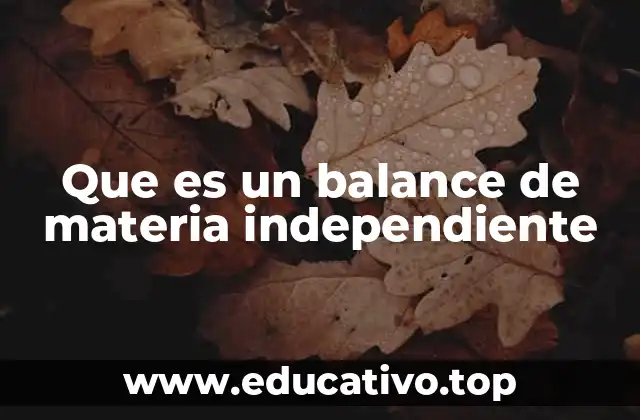 Que es un balance de materia independiente