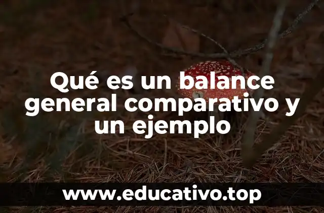 Qué es un balance general comparativo y un ejemplo