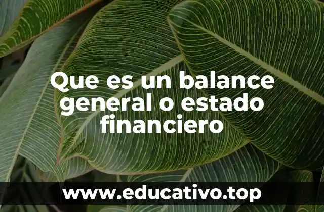 Que es un balance general o estado financiero