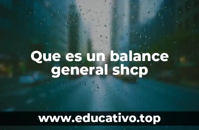 Que es un balance general shcp
